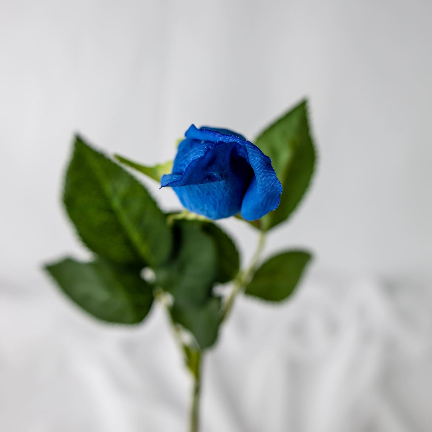 artificial deep blue rose bud top view