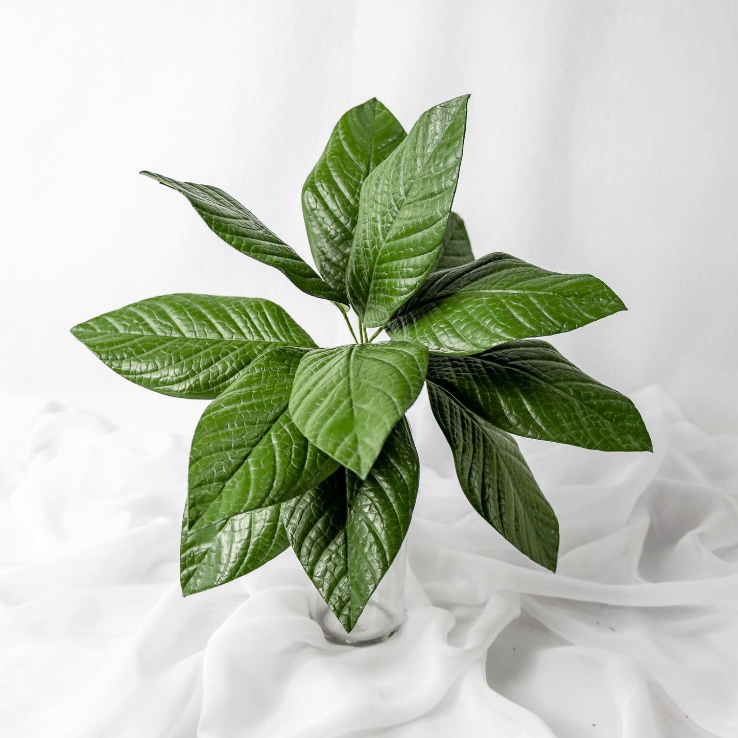 artificial gardenia leaves placed in clear glass vase top view