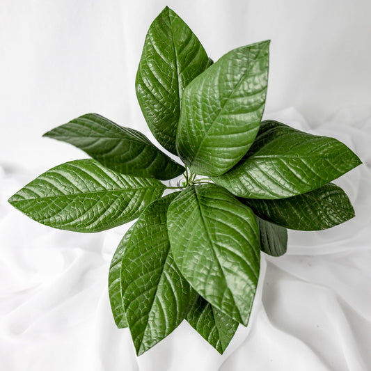 artificial gardenia leaves placed in clear glass vase