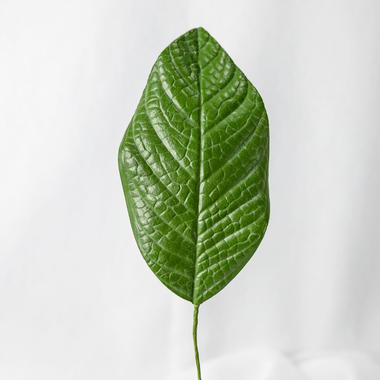 artificial gardenia leaf