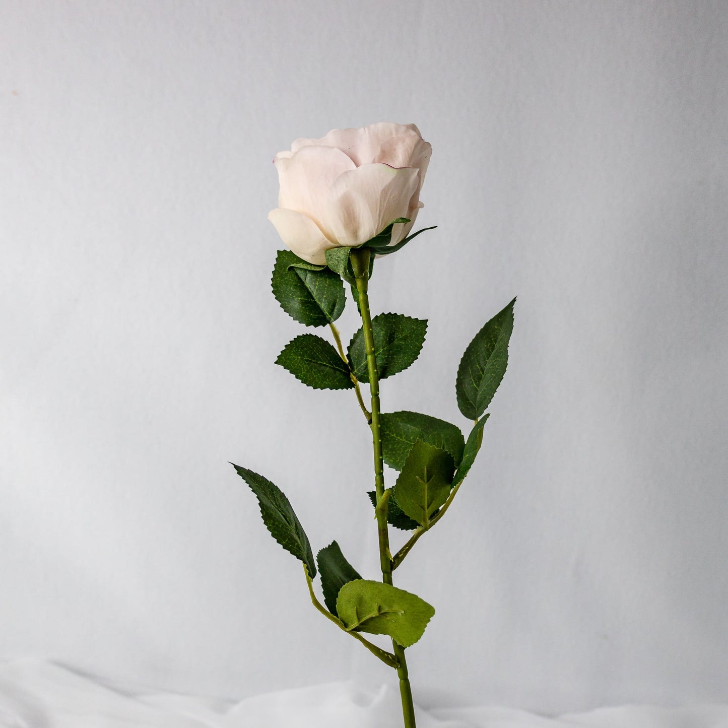 Light Pink David Austin Real Touch Open Bud Rose - Realistic Artificial Flowers