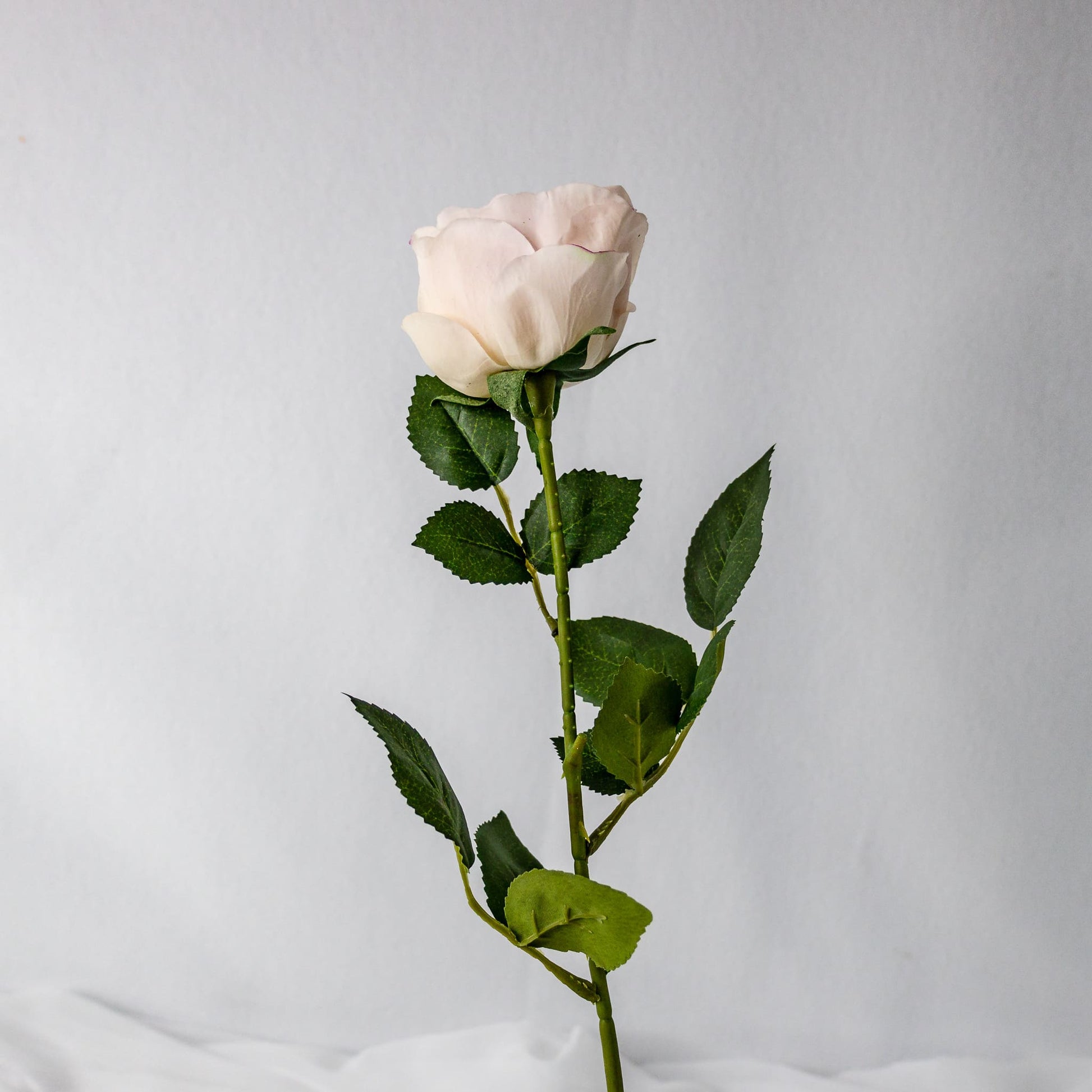 Light Pink David Austin Real Touch Open Bud Rose - Realistic Artificial Flowers