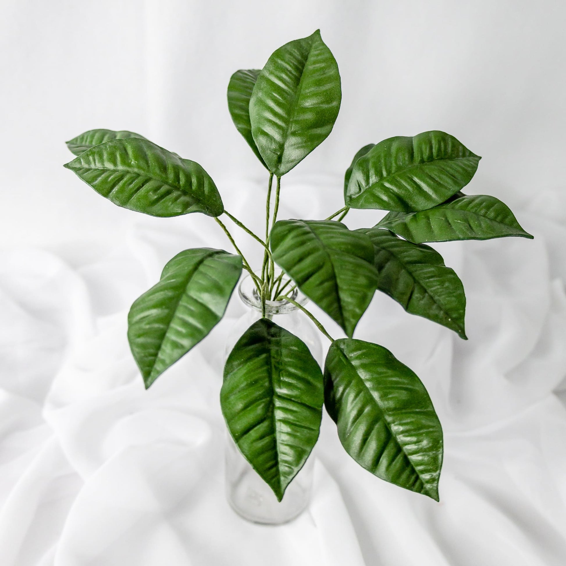 artificial mini gardenia leaves placed in transparent glass vase