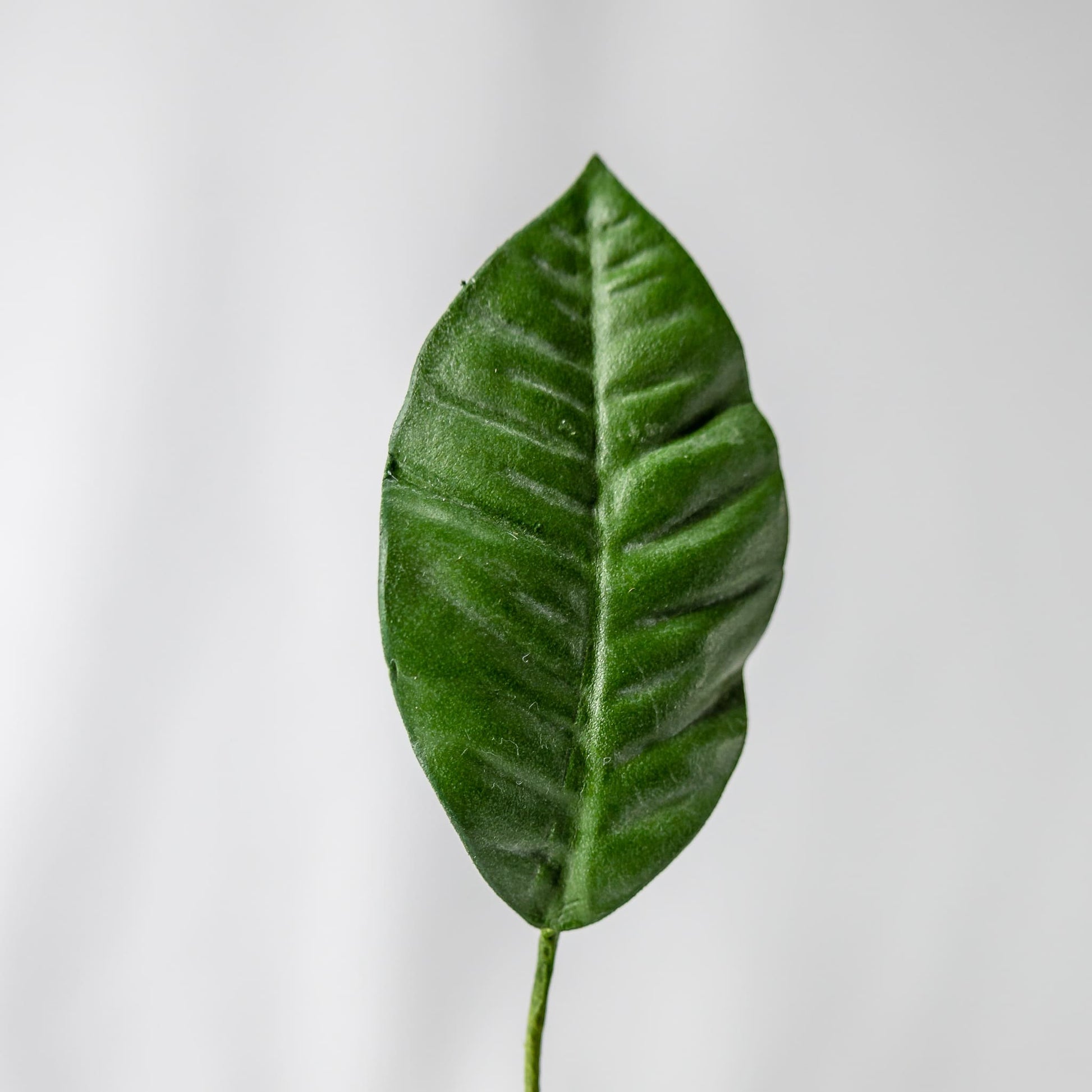artificial mini gardenia leaf