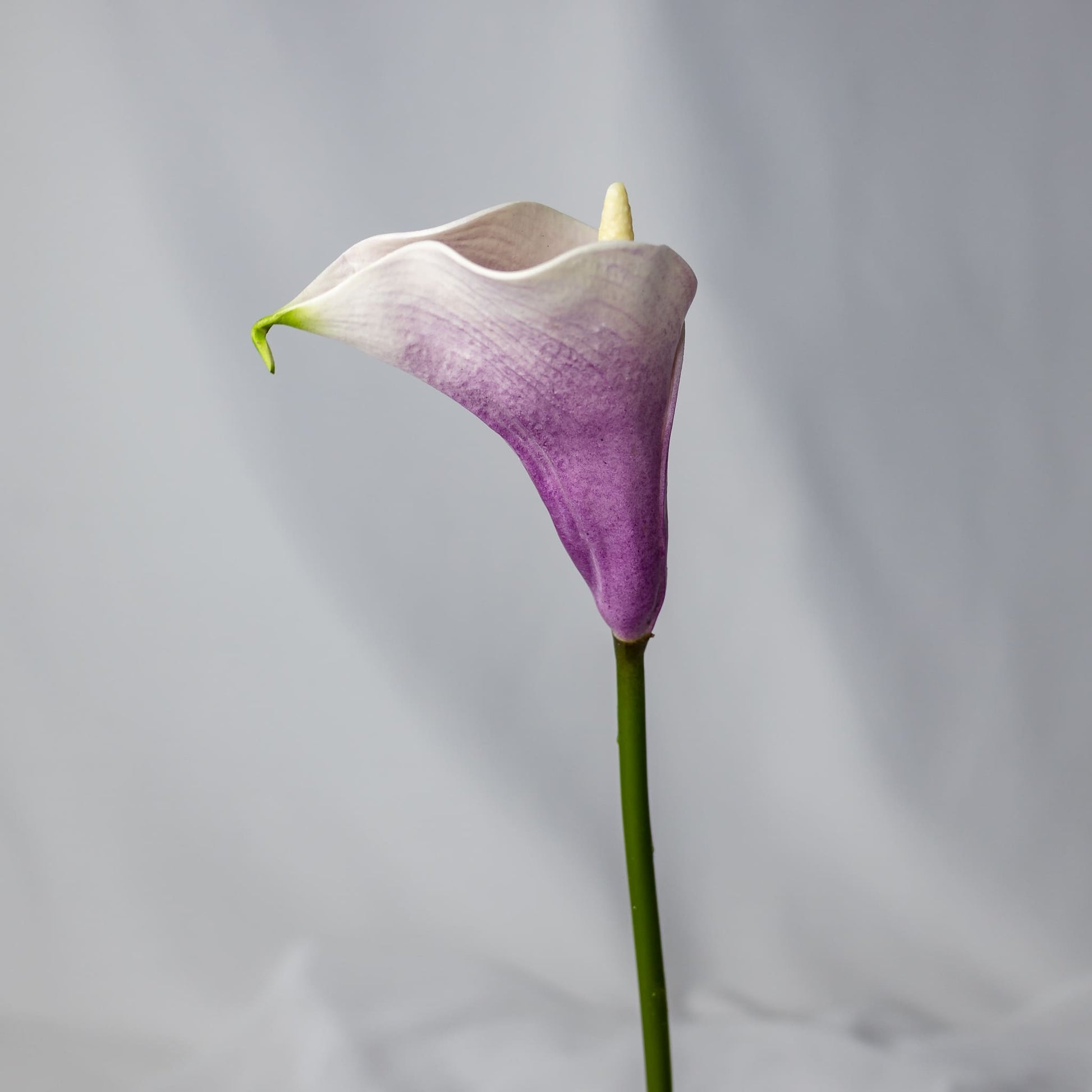 artificial picasso mini calla lily
