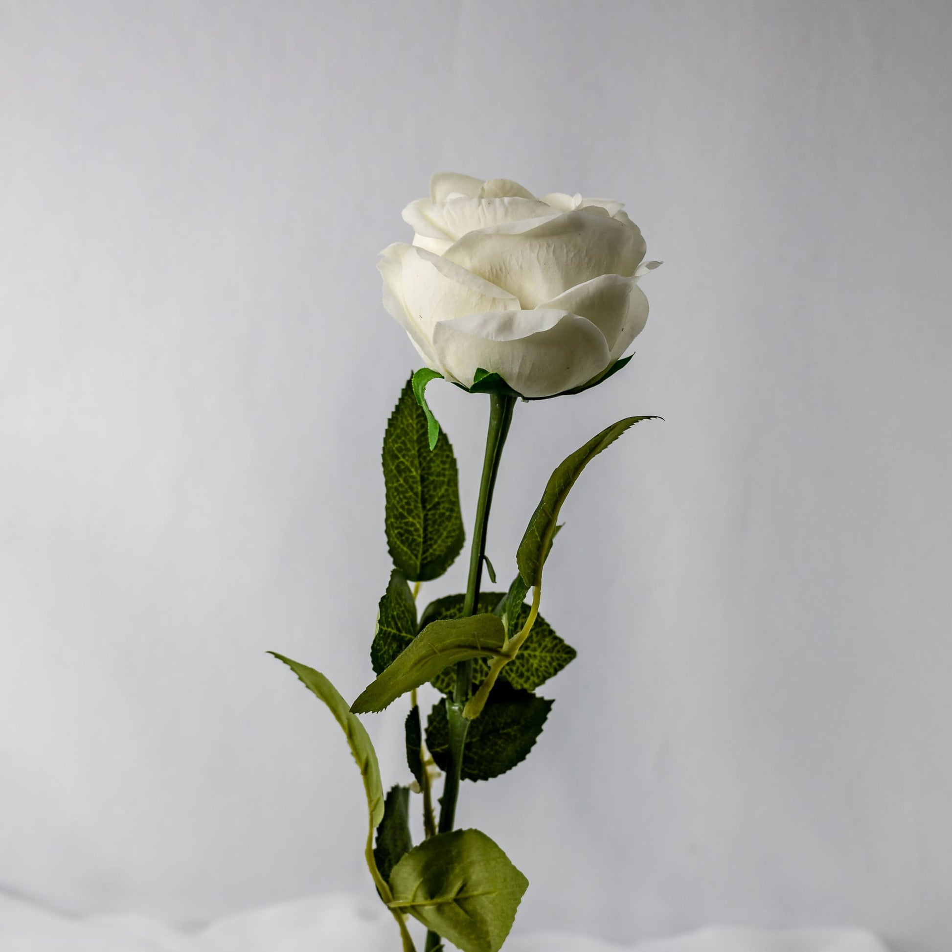 artificial white david austin open bud rose