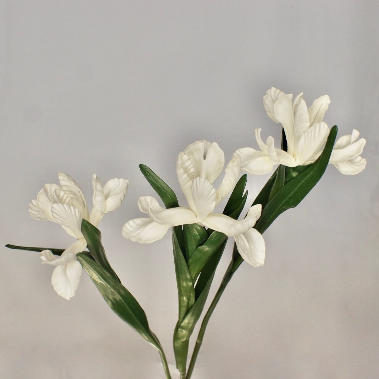 artificial white dutch iris