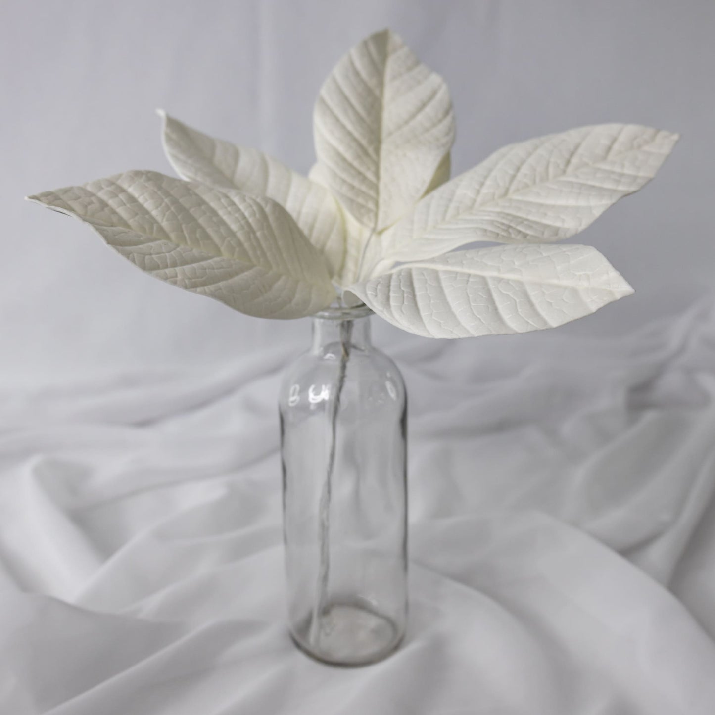 artificial white gardenia leaves placed in transparent glass vase