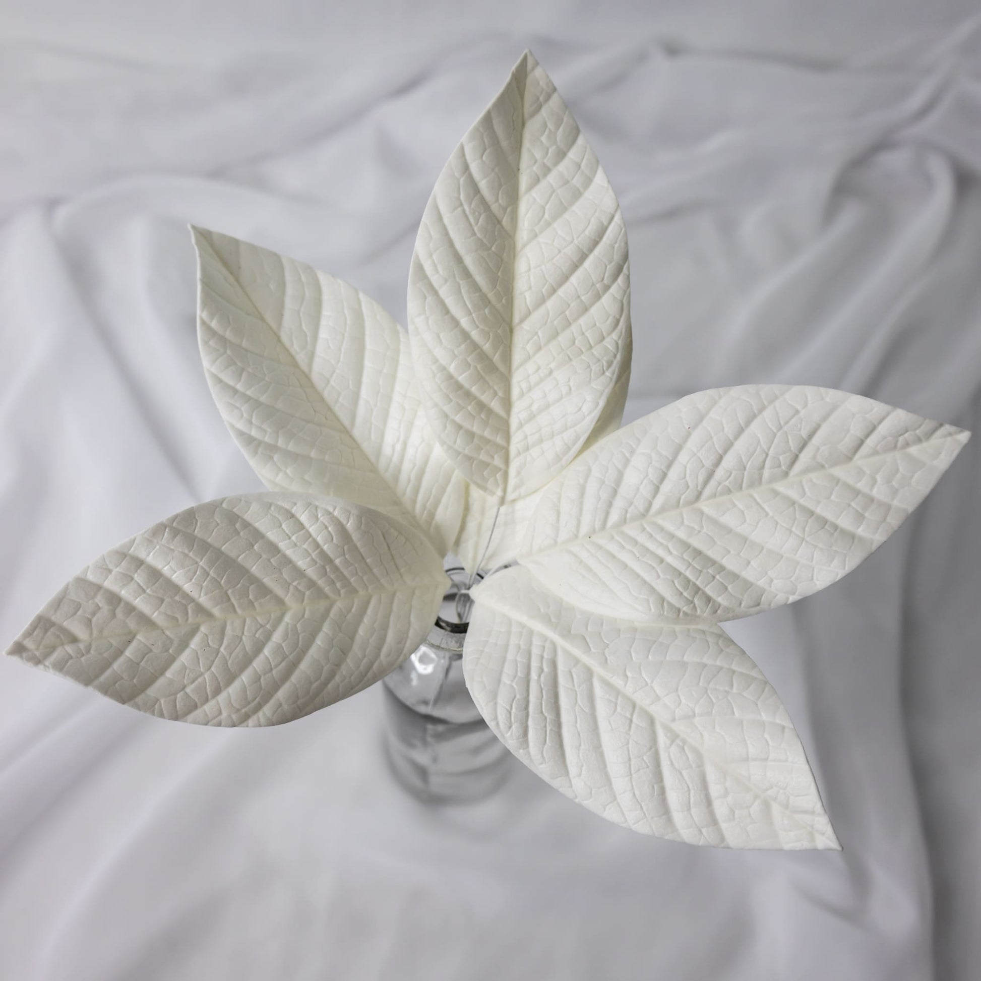 artificial white gardenia leaves placed in transparent glass vase top view