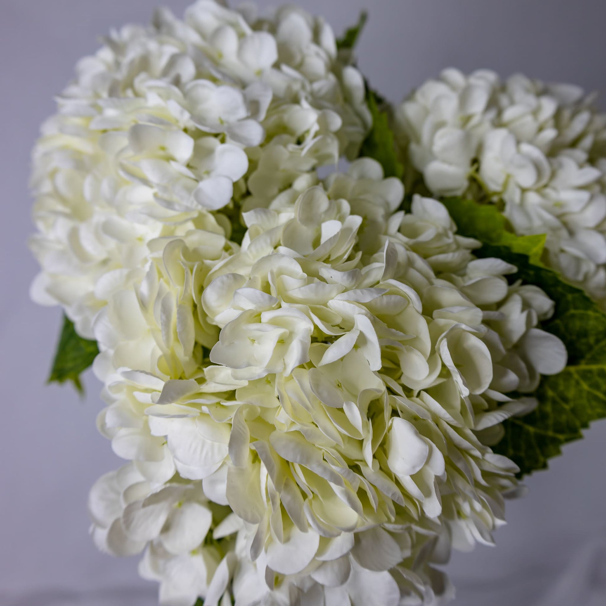 artificial white hydrangea flowers top view