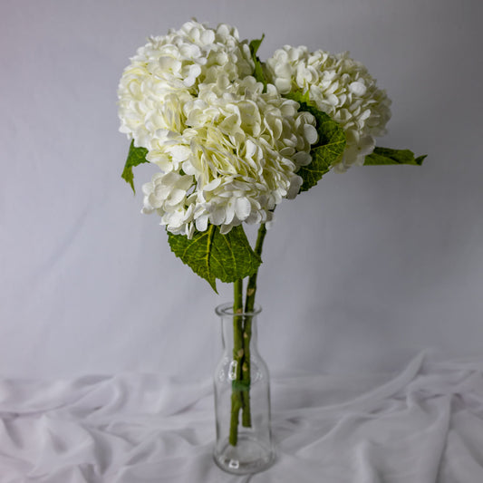 artificial white hydrangea flowers placed in transparent glass vase