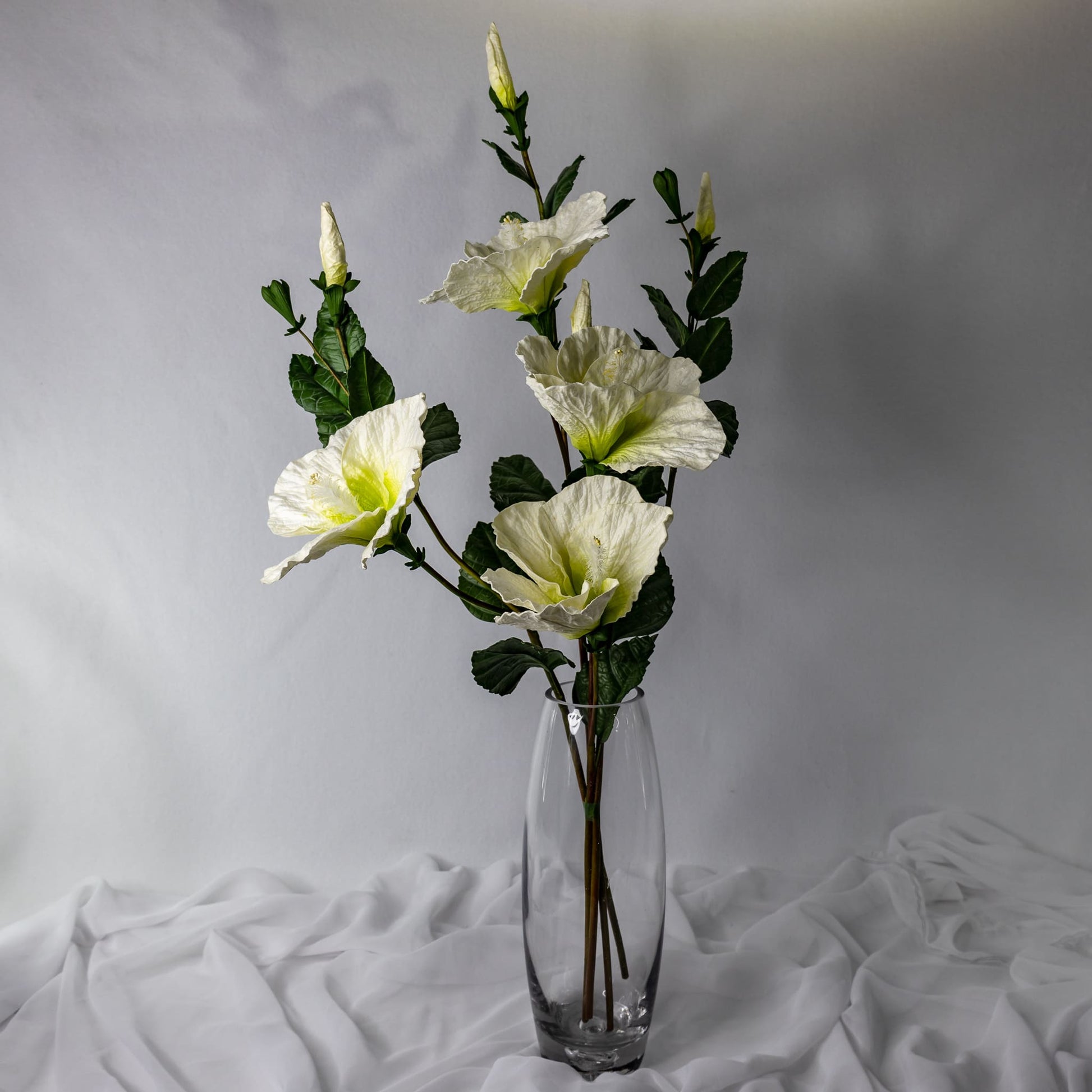 White Large Hibiscus in clear glass vase