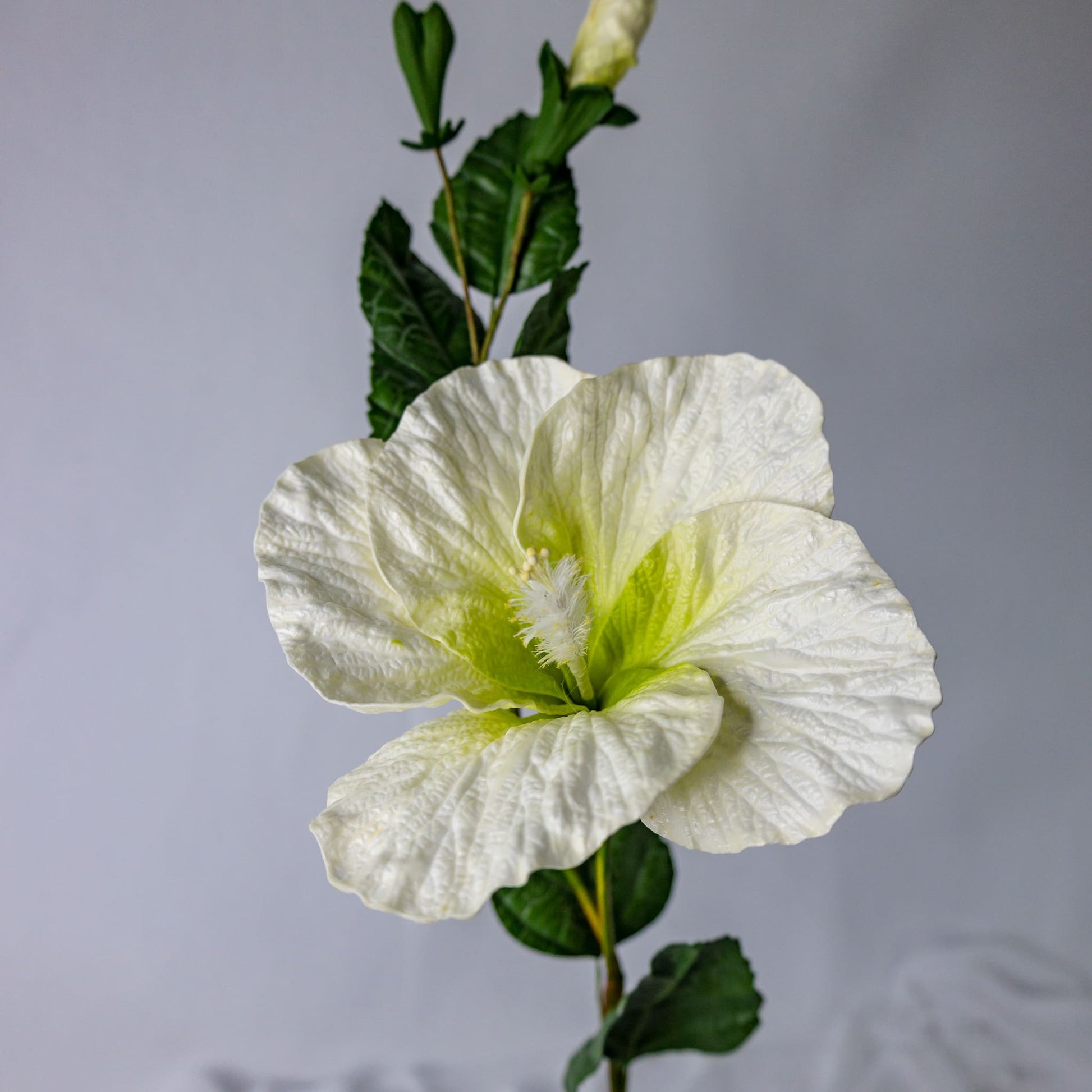 White Large Hibiscus - Realistic Artificial Flowers