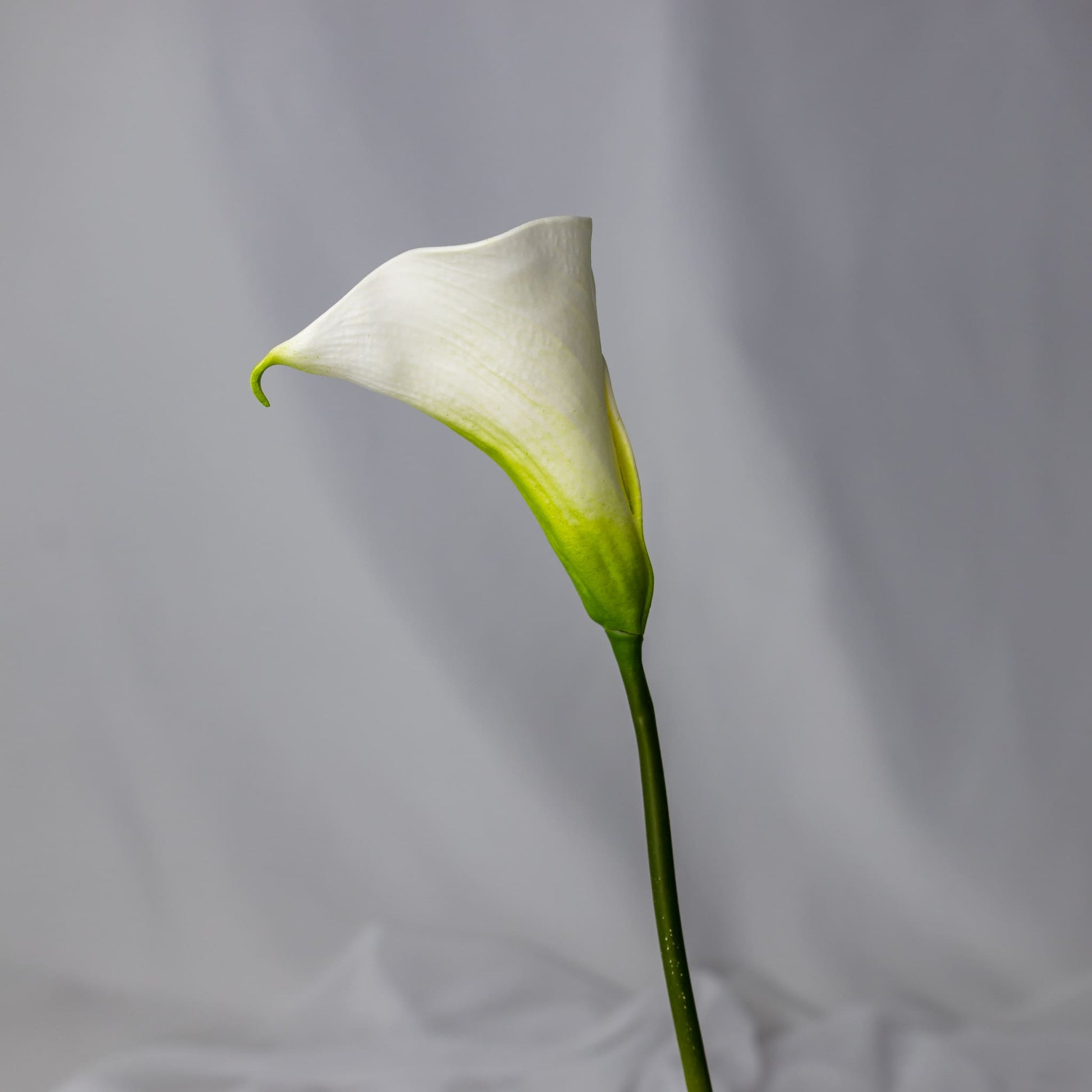 artificial White Mini Calla Lily