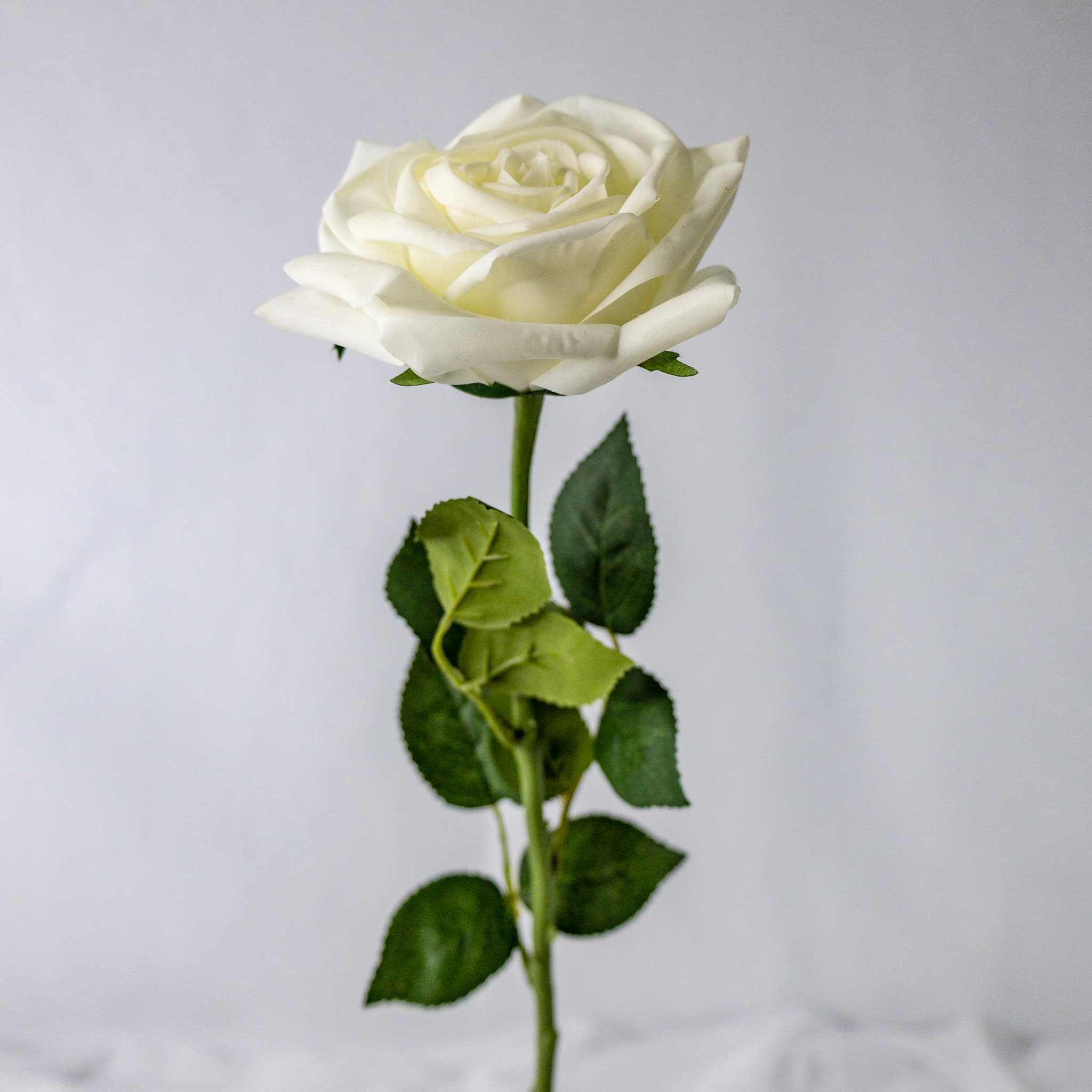 Wedding Favourites - Realistic Artificial Flowers – Page 2