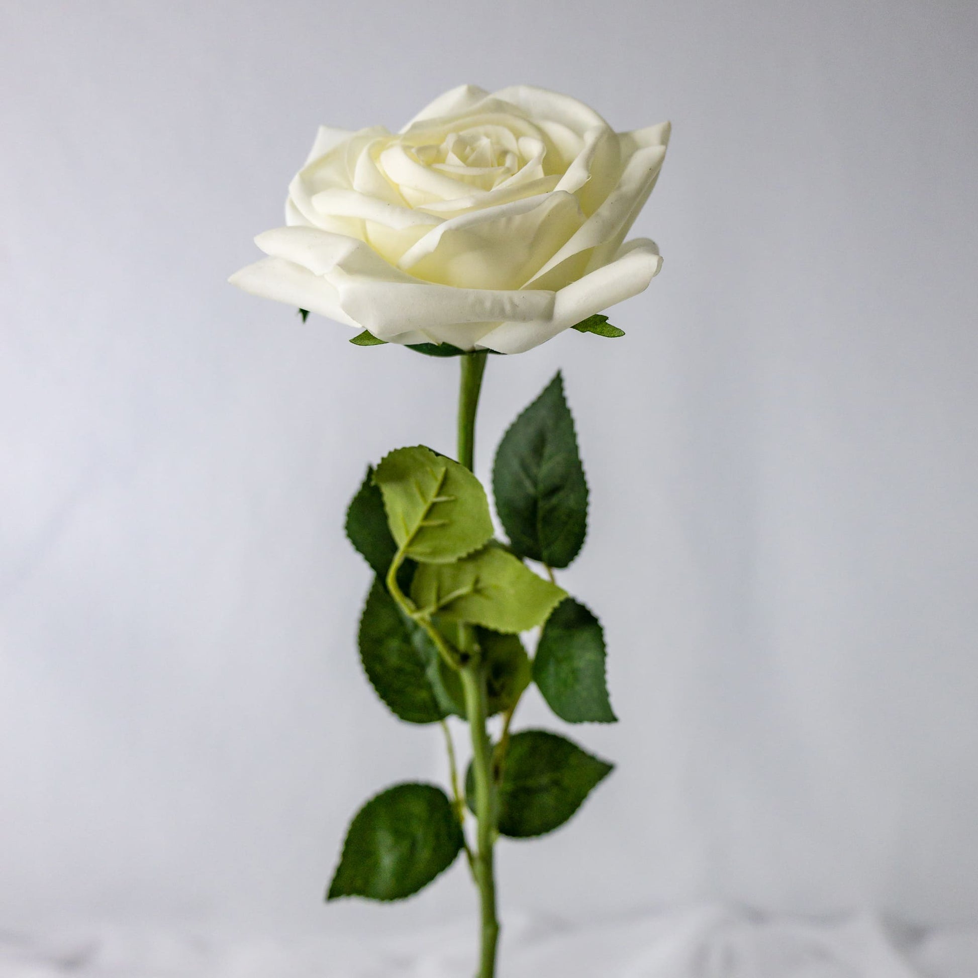 artificial White Natural Real Touch Rose