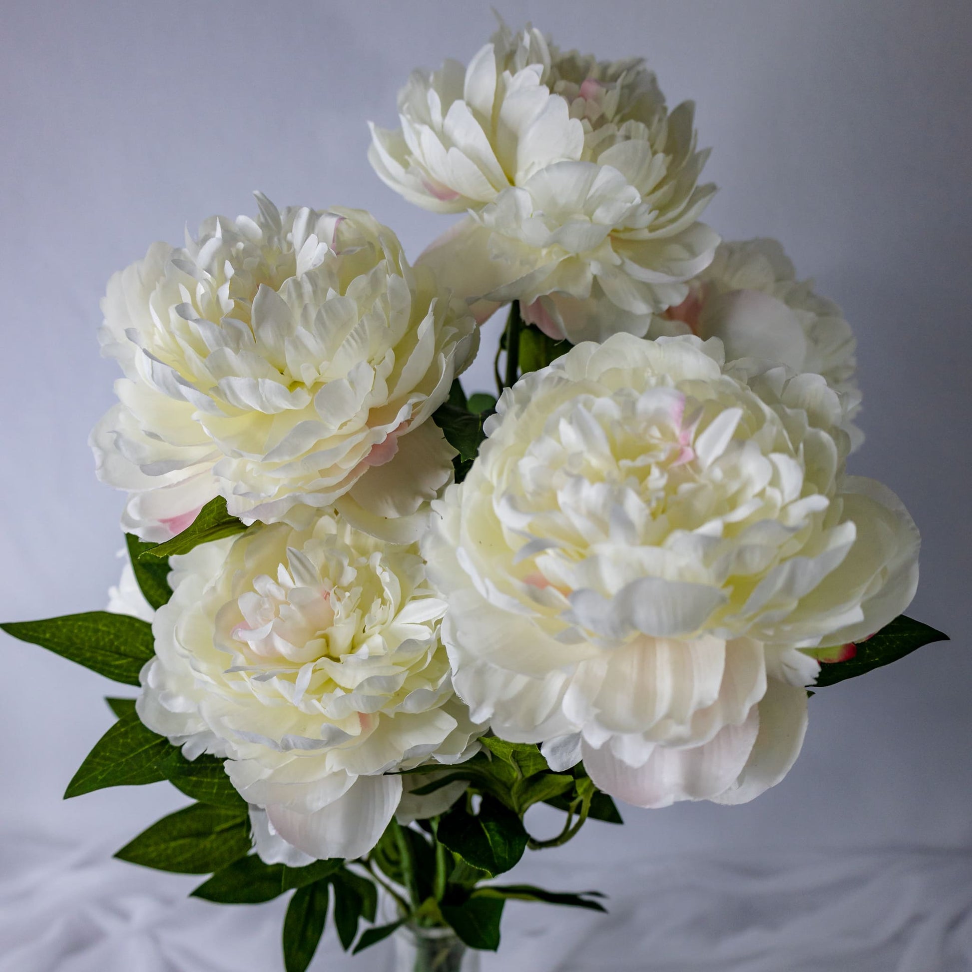 artificial large white peonies placed in transparent glass vase closer look 