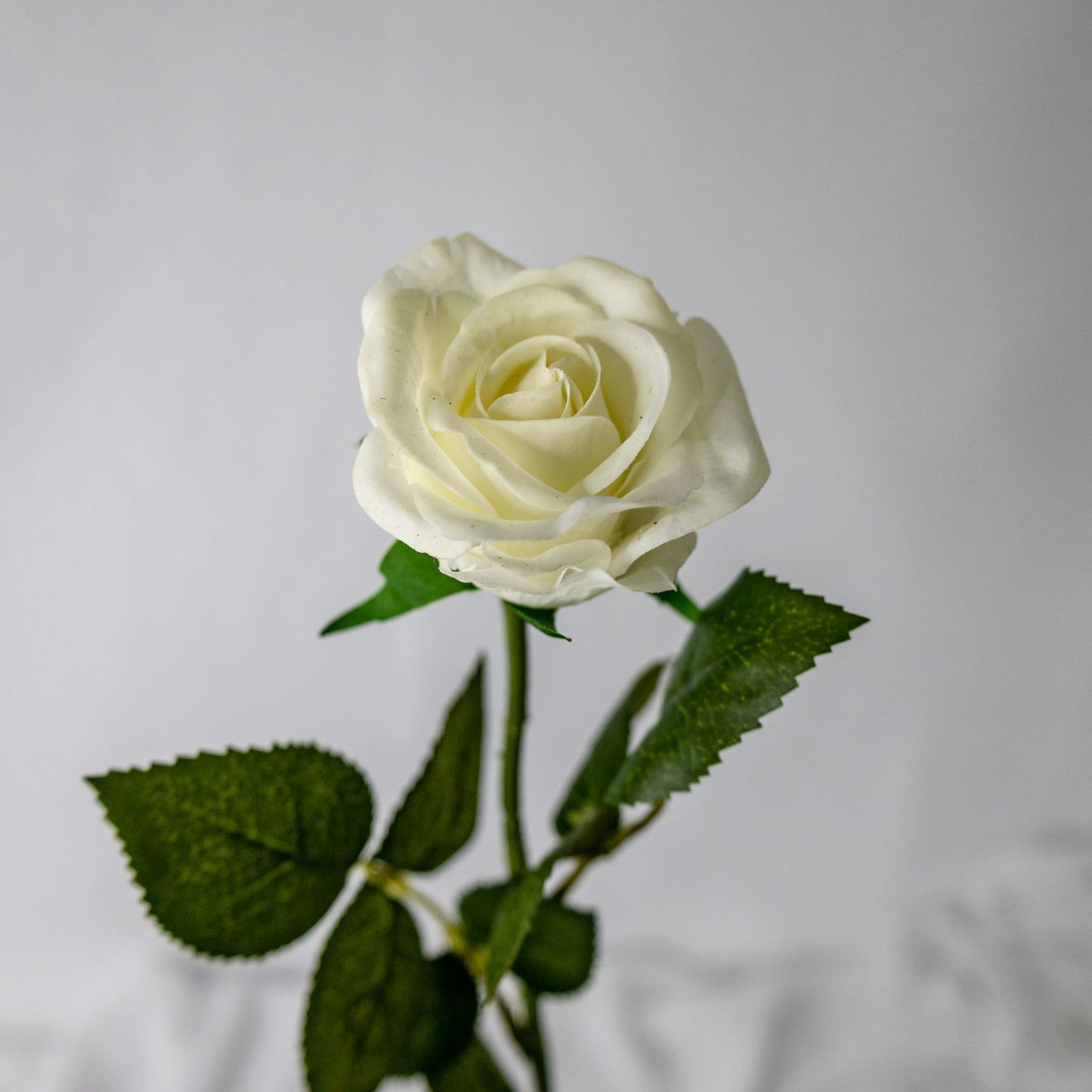 artificial white half bloom rose top view