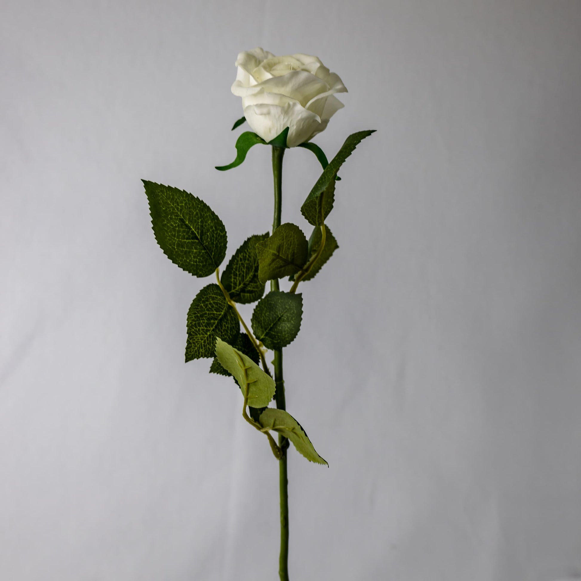 artificial white half bloom rose