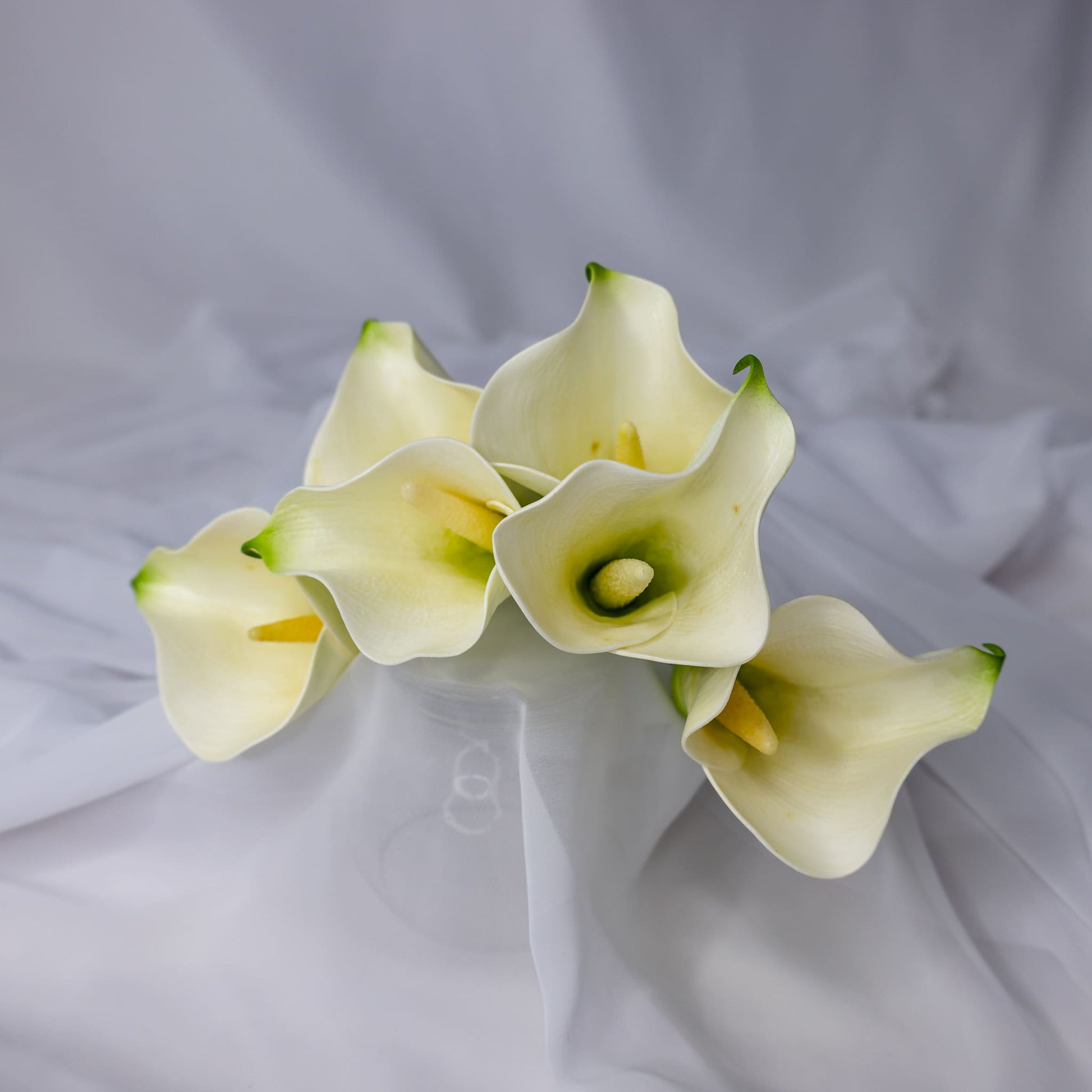 artificial white small calla lilies top view