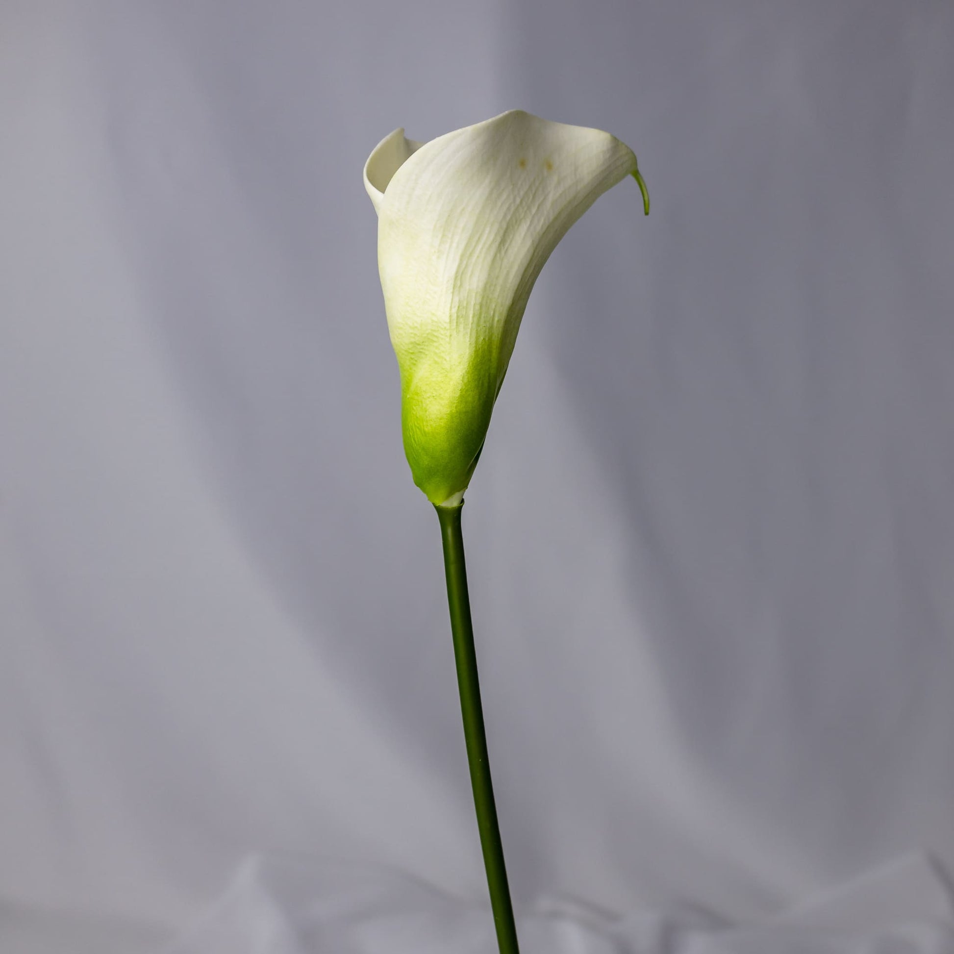 artificial white small calla lily