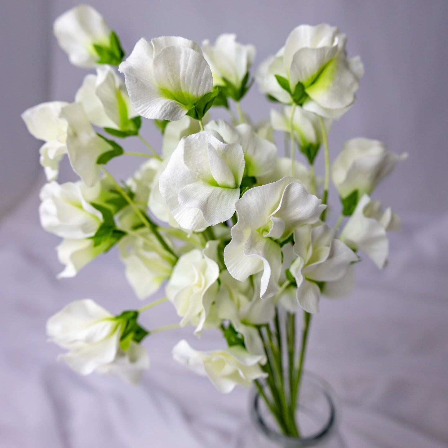 artificial white sweet pea placed in transparent glass vase closer look