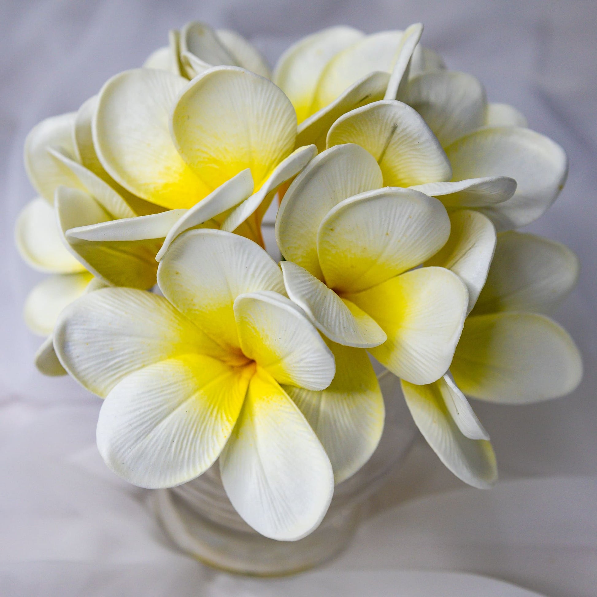 artificial White Yellow Frangipani Flowerhead in glass vase top view
