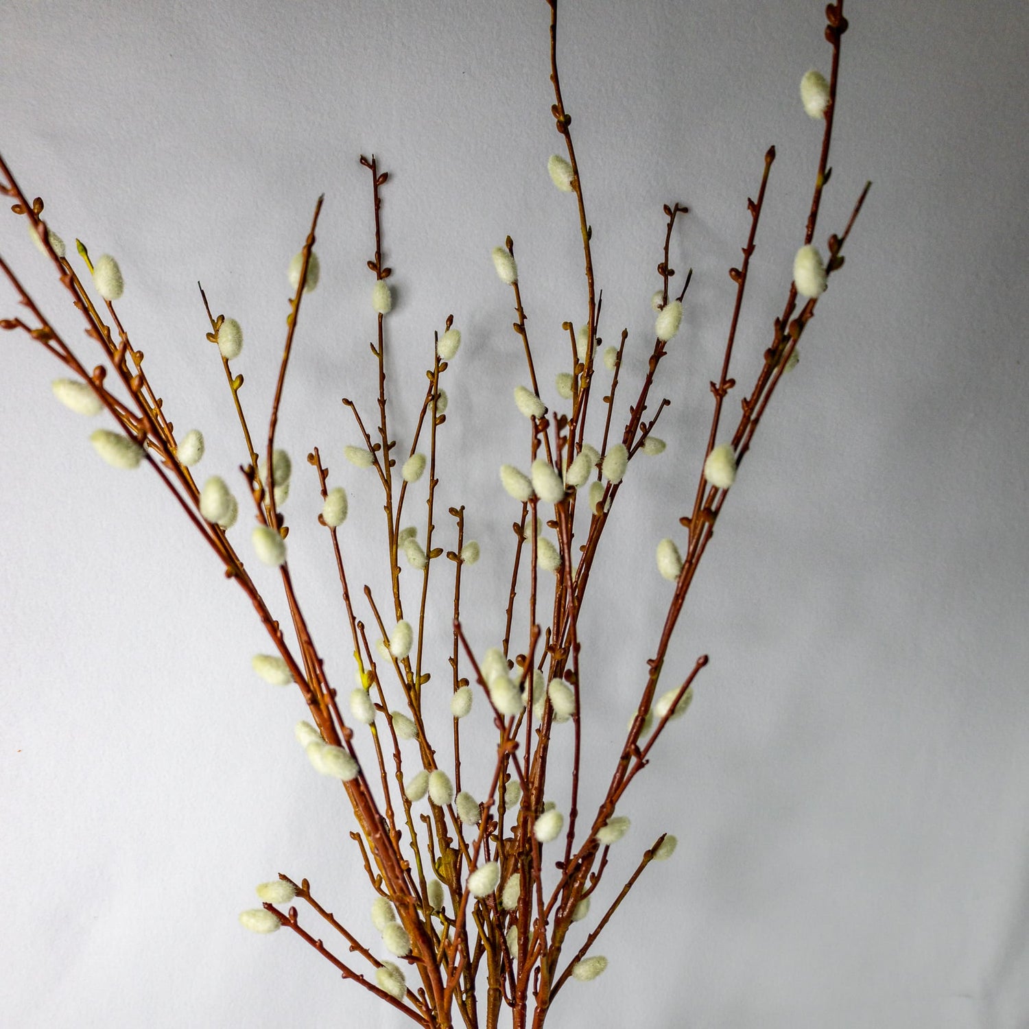 Willow Branch - Realistic Artificial Flowers