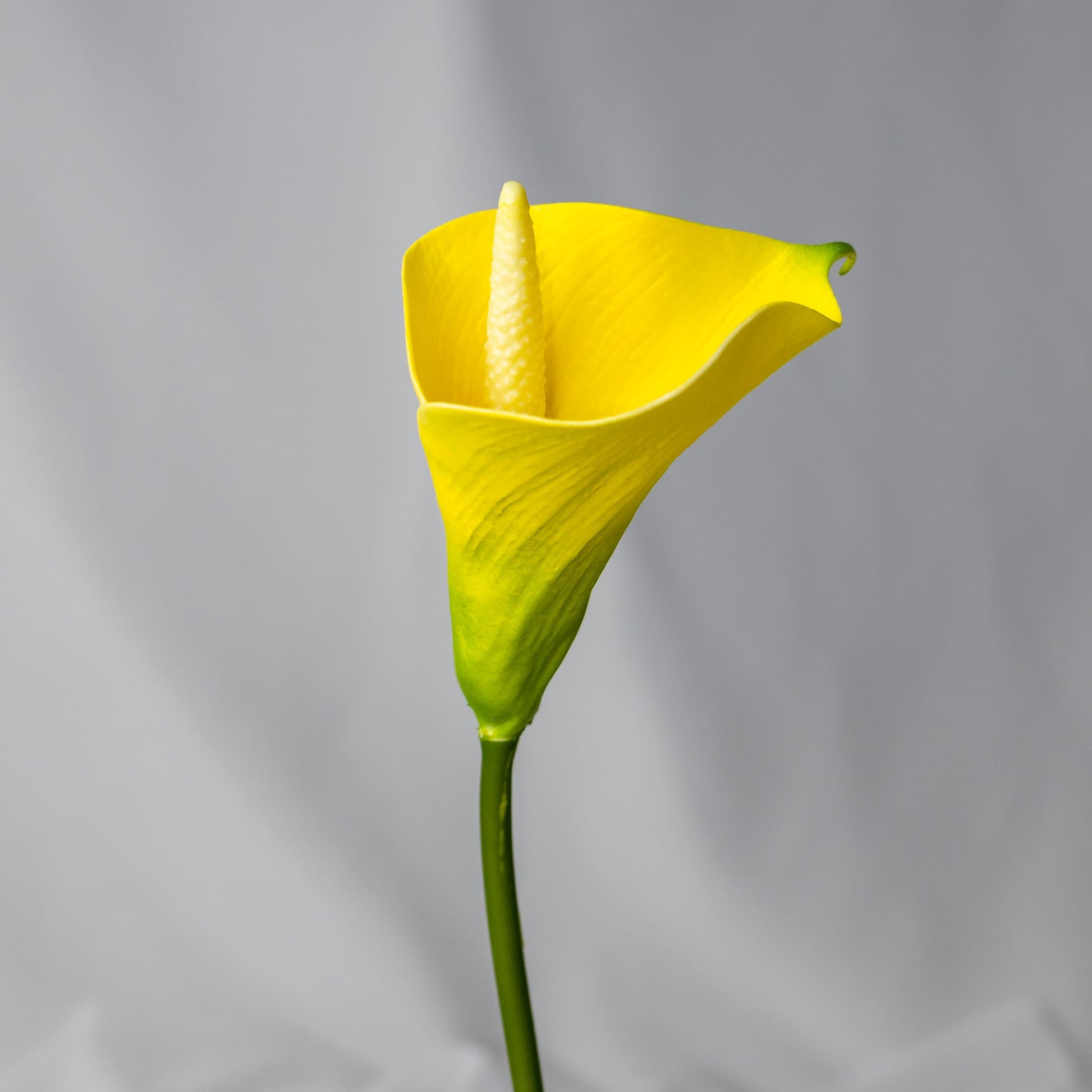 artificial Yellow Mini Calla Lily