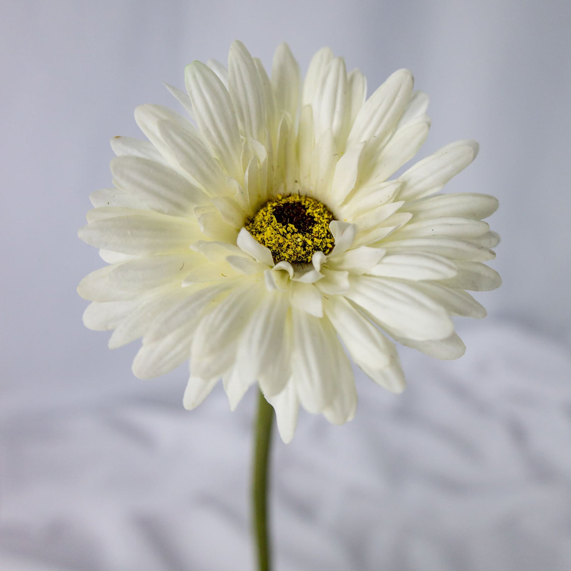 artificial white gerbera flower