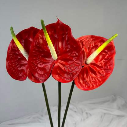 Red Anthurium - Real Touch