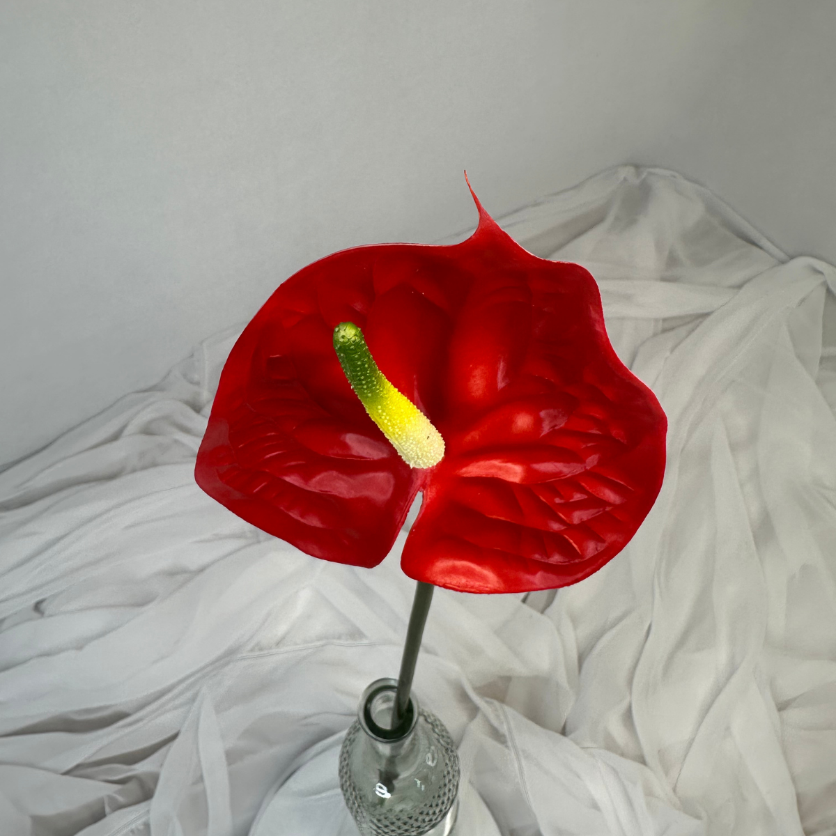 Red Anthurium - Real Touch
