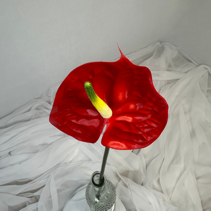 Red Anthurium - Real Touch