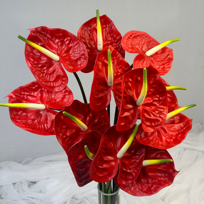 Red Anthurium - Real Touch
