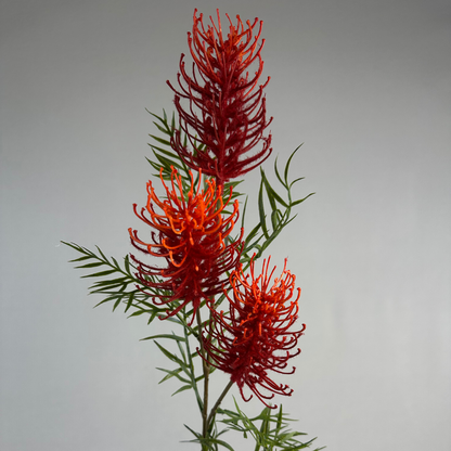 Grevillea Flower Spray Crimson Red- Realistic Artificial Flowers
