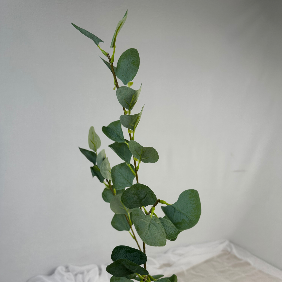 Green Silver Dollar  - Realistic Artificial Flowers and Greenery