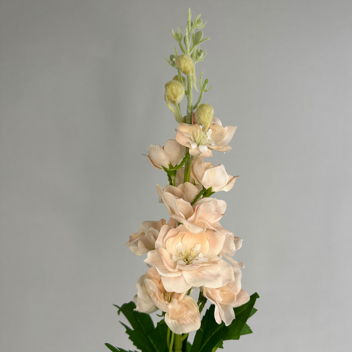 Pale Peach Real Touch Delphinium - Small