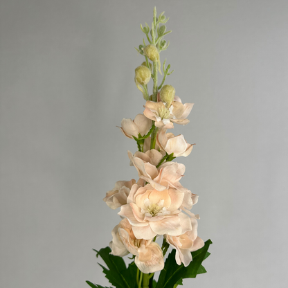 Pale Peach Real Touch Delphinium - Small