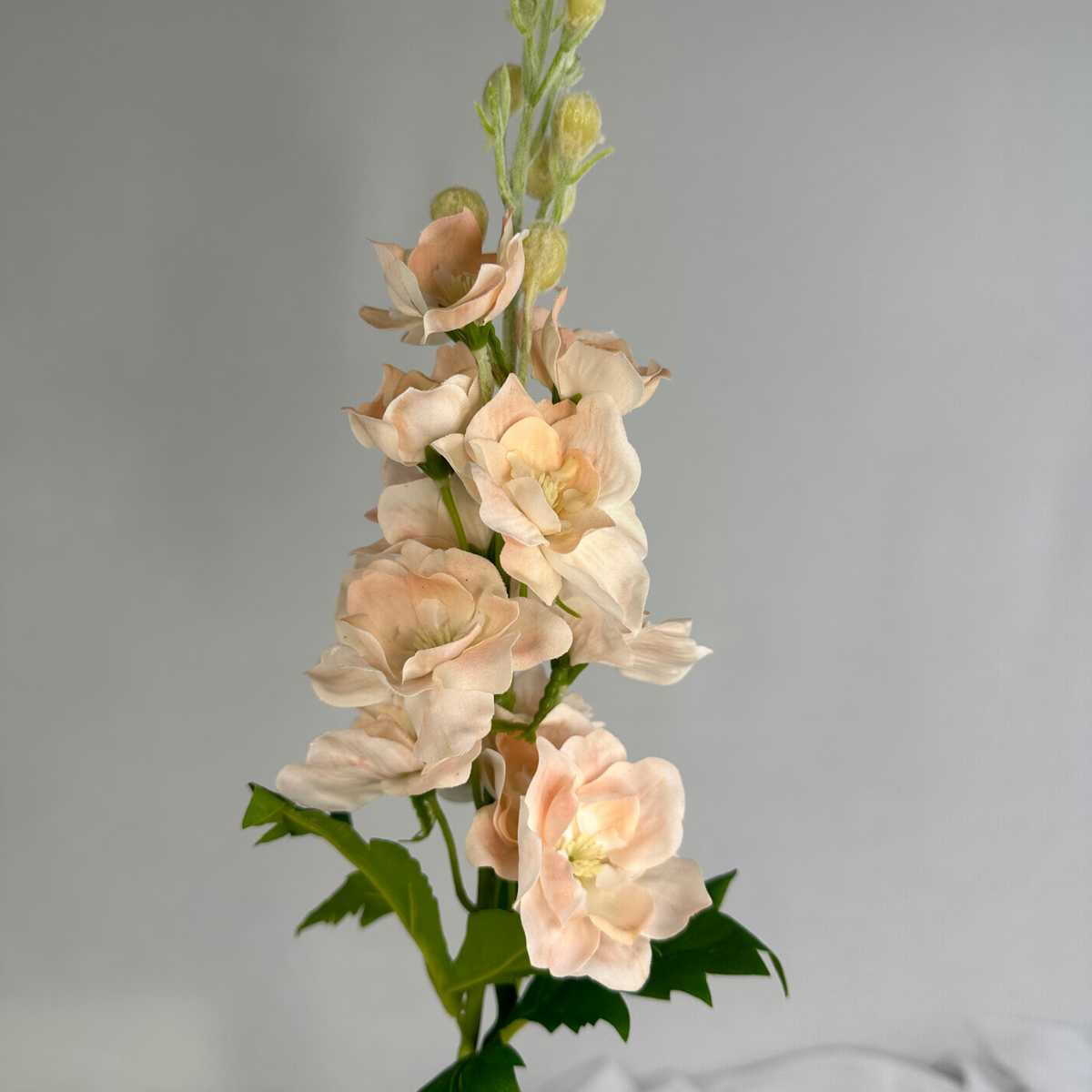 Pale Peach Real Touch Delphinium - Small