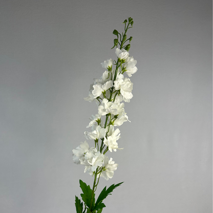 White Large Real Touch Delphinium - Realistic Artificial Flowers