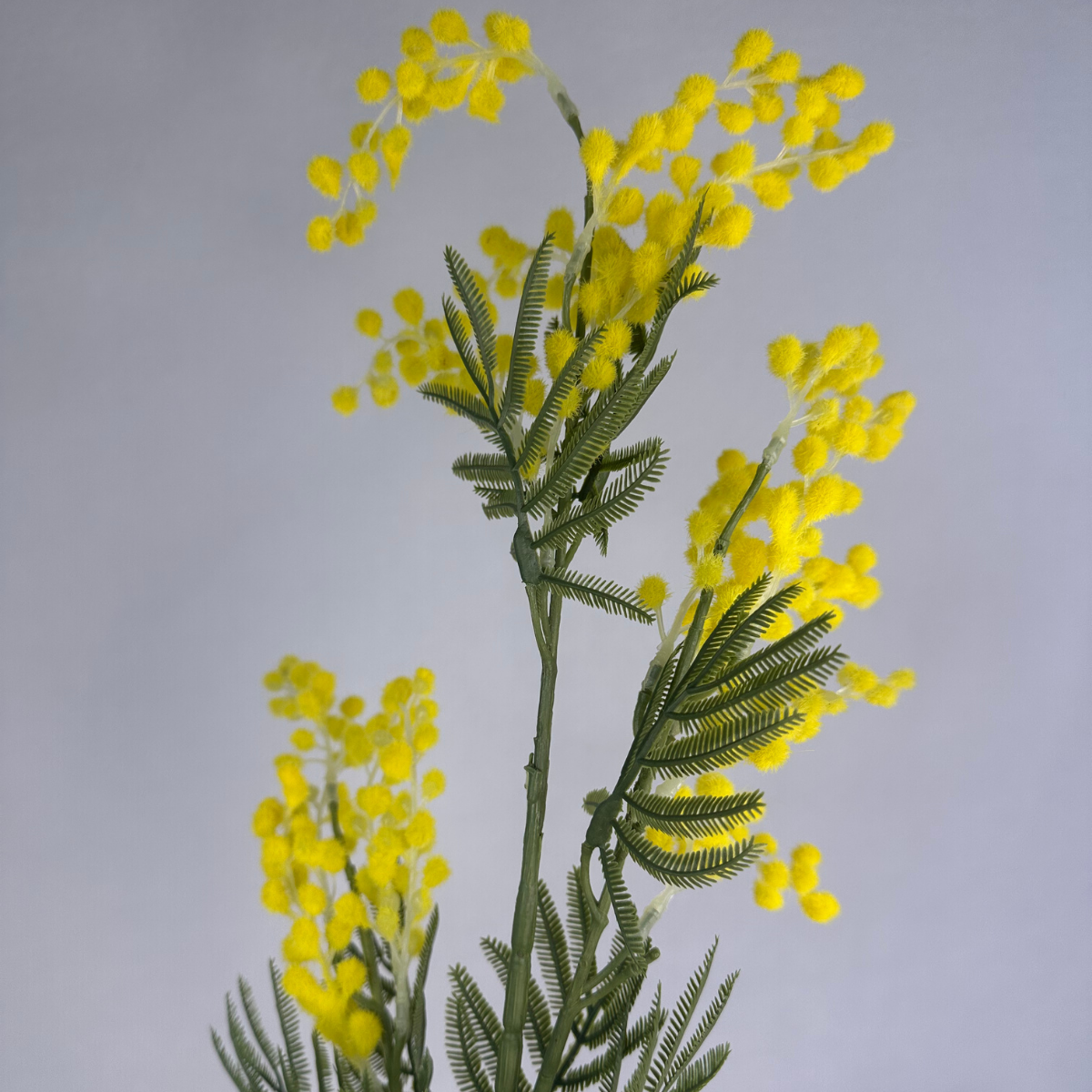 Yellow Mimosa /Wattle Spray - Realistic Artificial Flowers