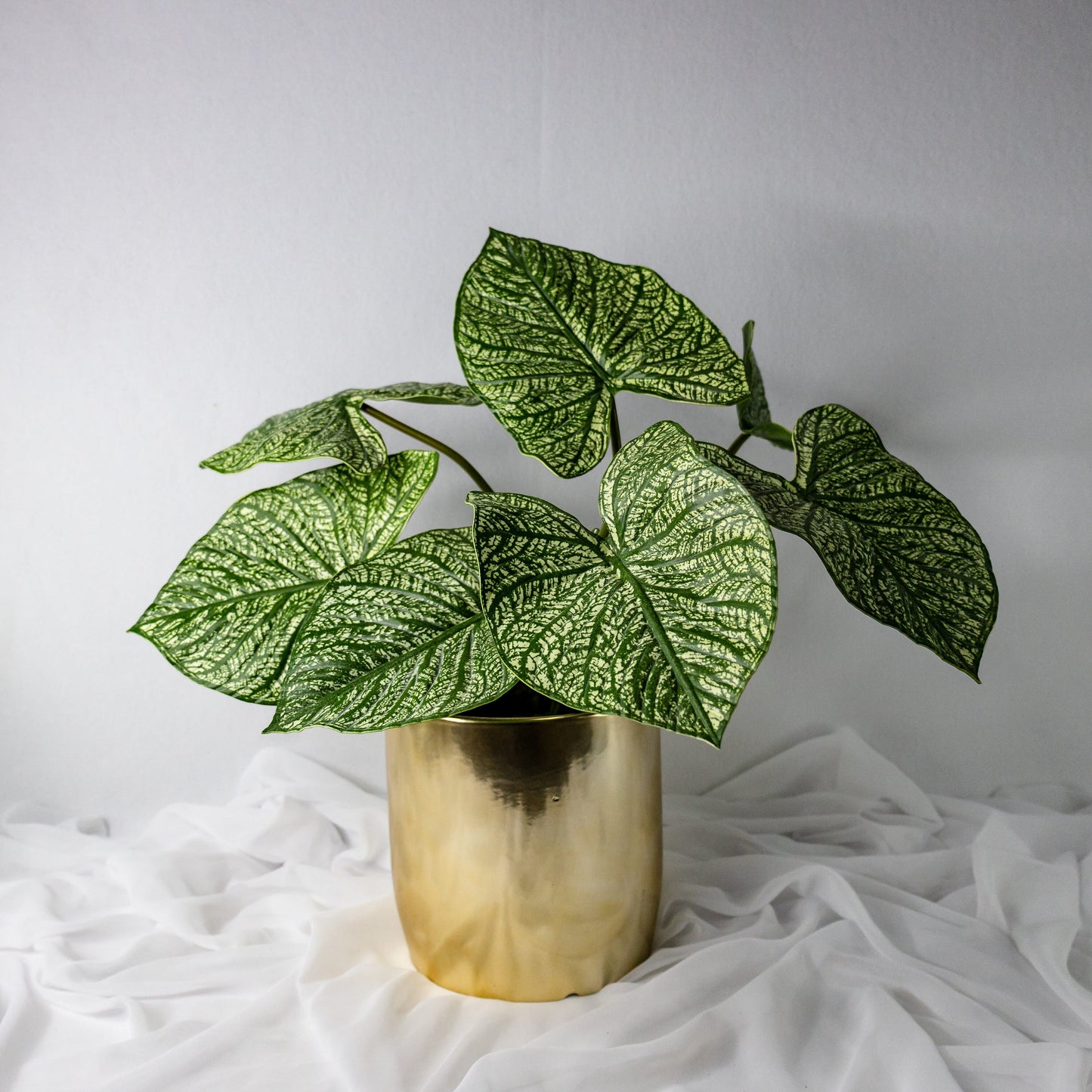 artificial Green Caladium Leaves in gold vase