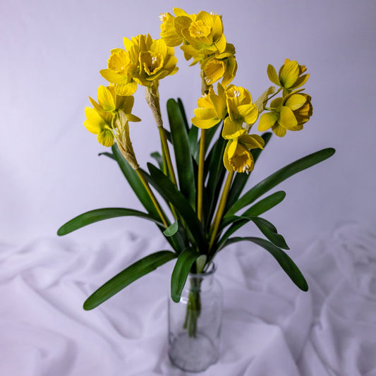 artificial Narcissus/Jonquils flowers in glass vase