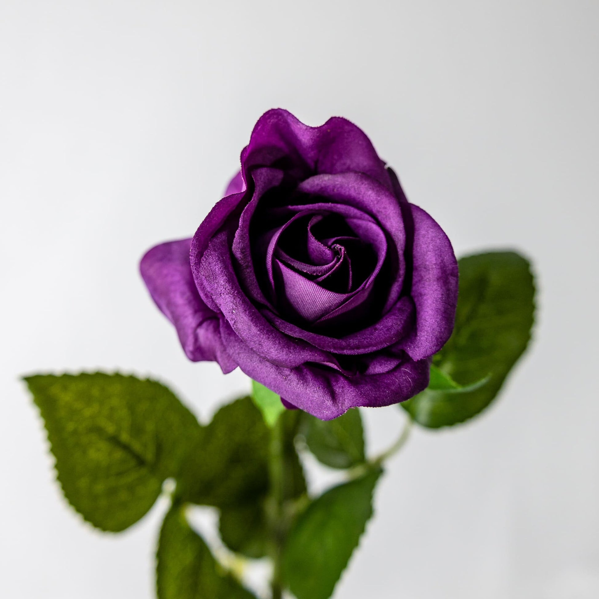 artificial Purple Real Touch Half Bloom Rose top view