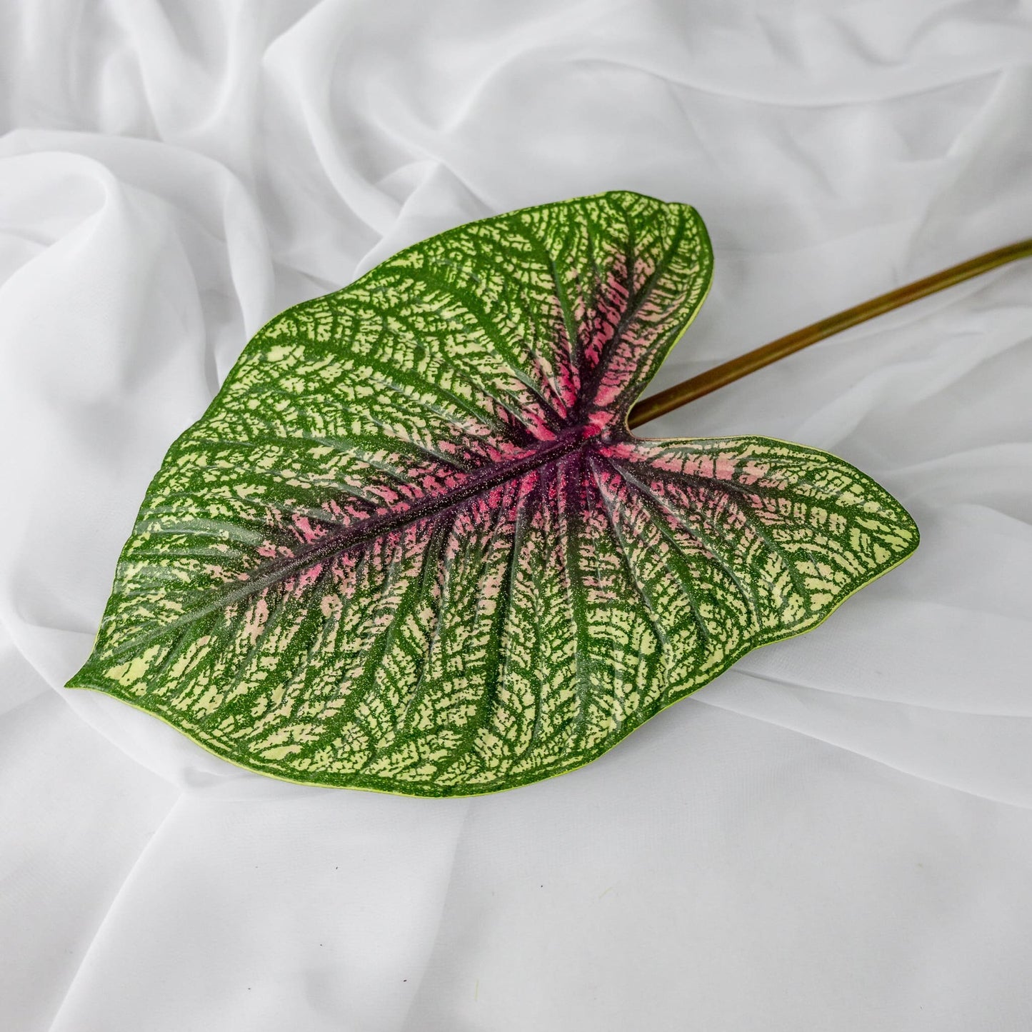 artificial Moss Green Caladium leaf