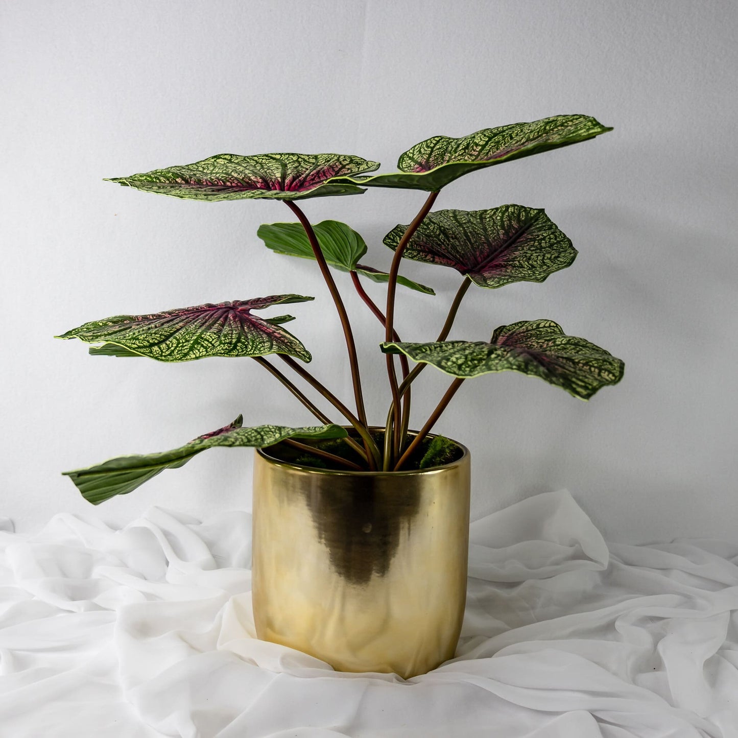 artificial Moss Green Caladium leaves in glass vase