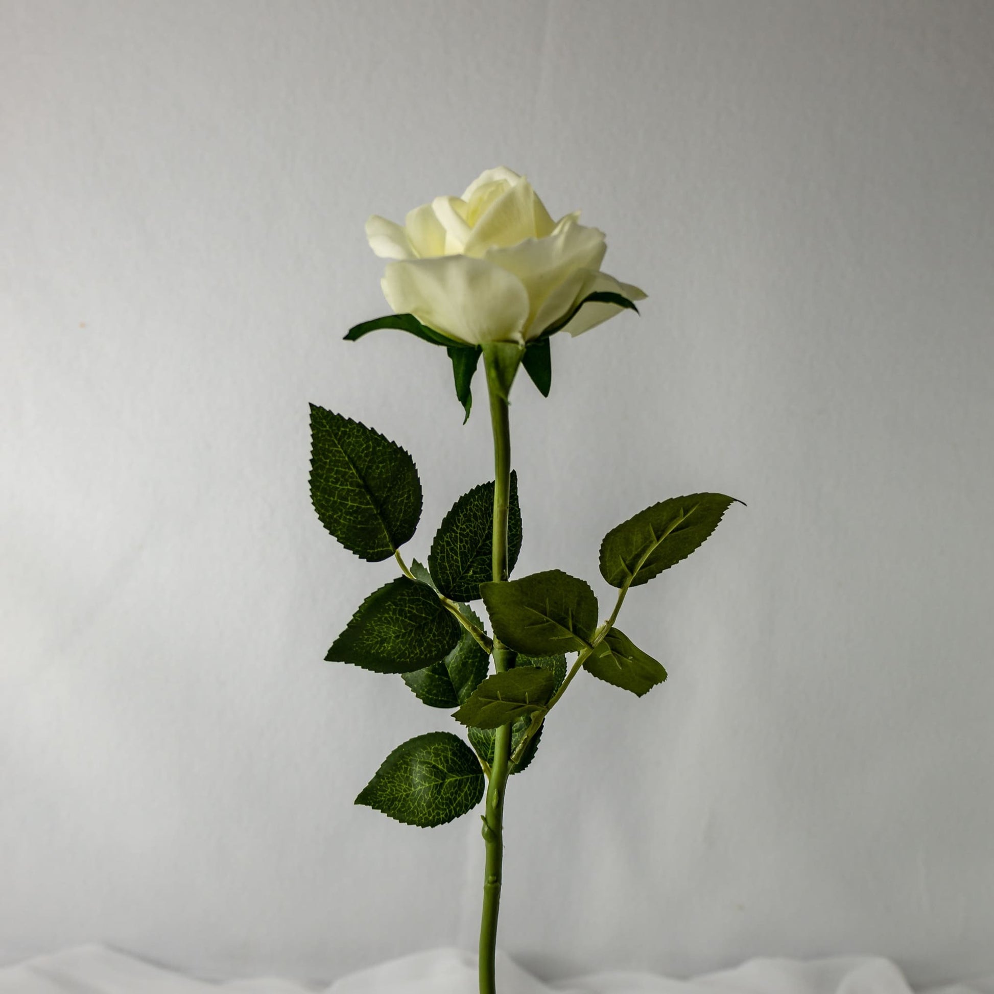Off White Real Touch Open Bloom Rose - Realistic Artificial Flowers