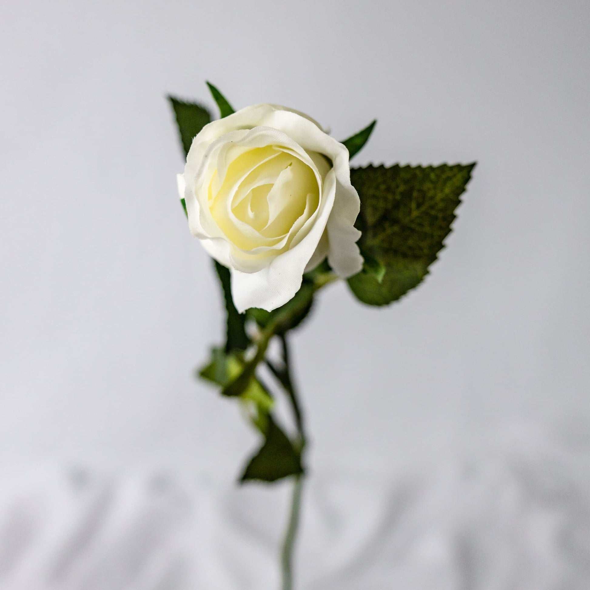 White Real Touch Open Bud Rose - Realistic Artificial Flowers