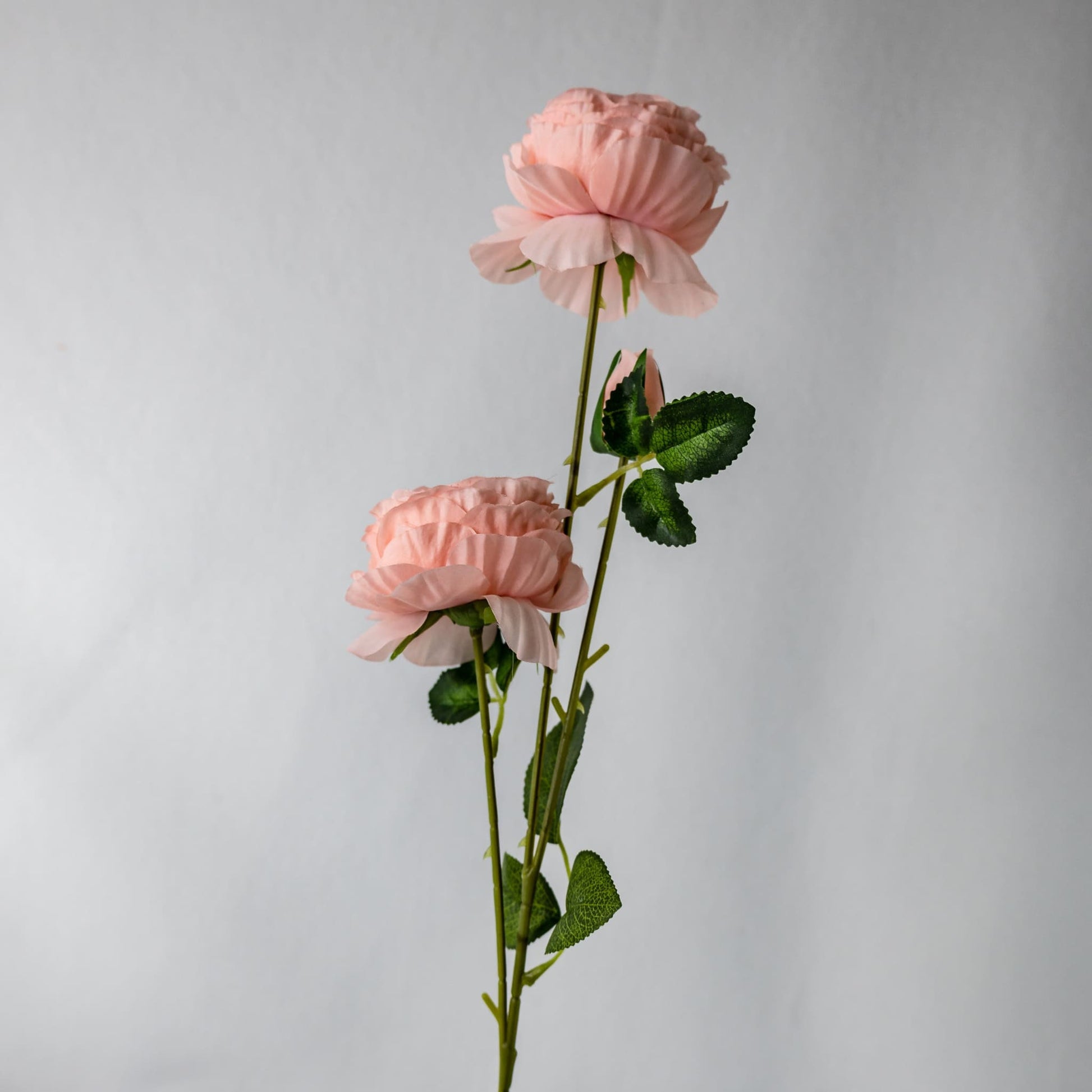 Pale Pink Peony Mini Bloom - Realistic Artificial Flowers