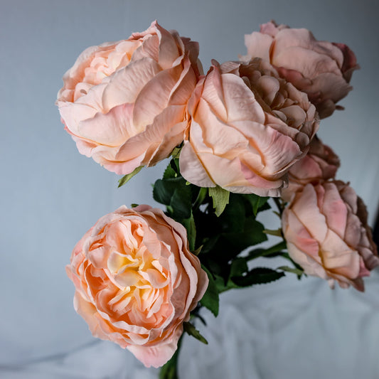 Pink/Cream David Austin Soft Touch Open Bloom Rose  - Realistic Artificial Flowers